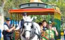 Disney Theme Park